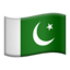 Pakistan Flag