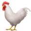 Rooster