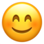 Smiling Face with Smiling Eyes